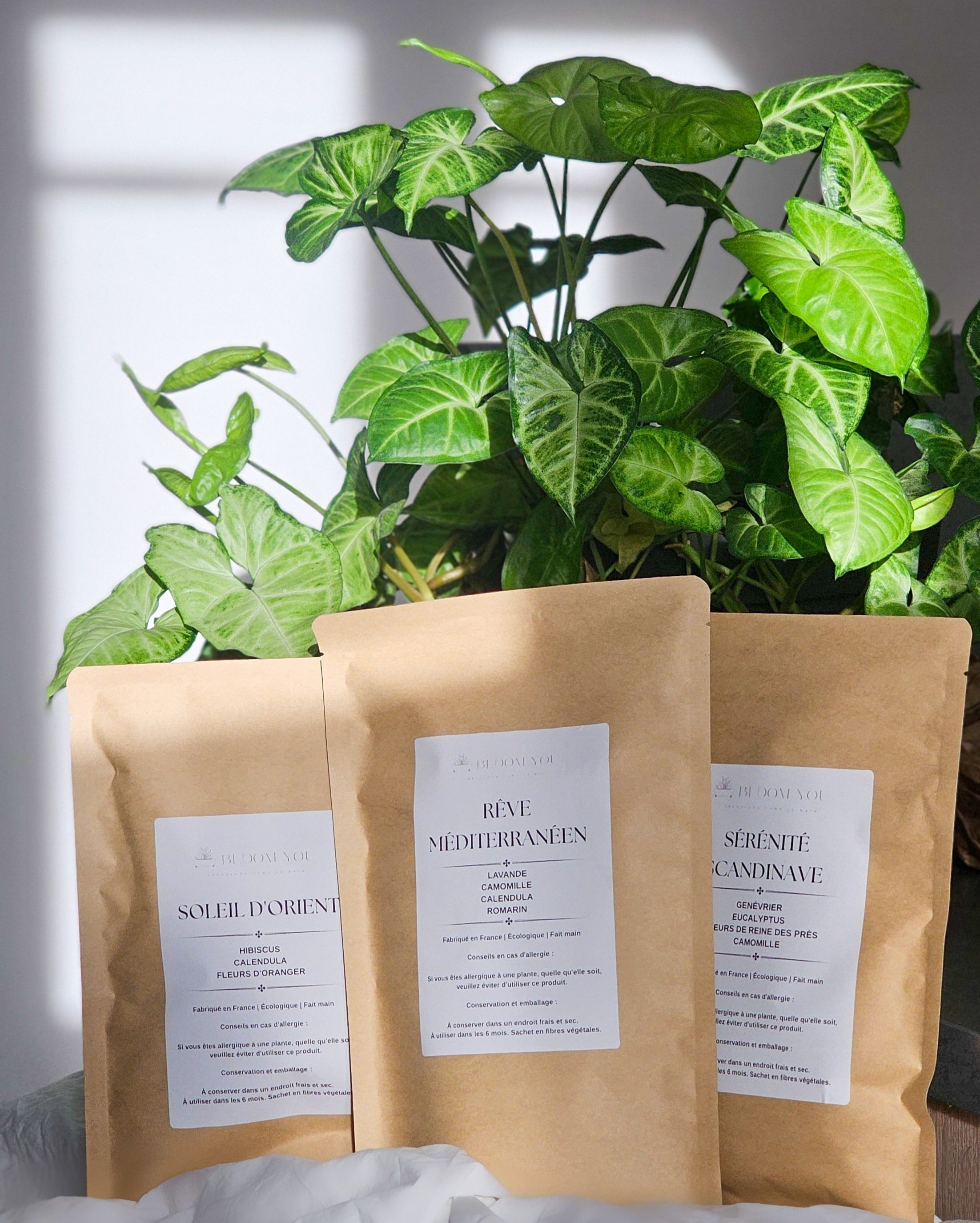 Rituel des 3 infusions