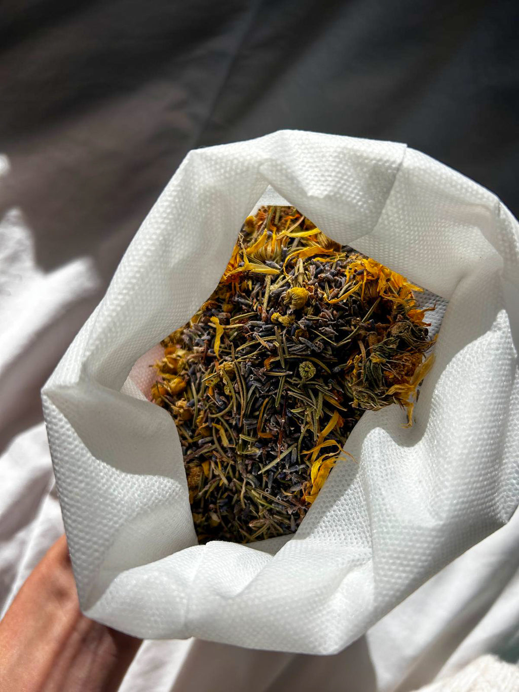 Rêve Méditerranéen